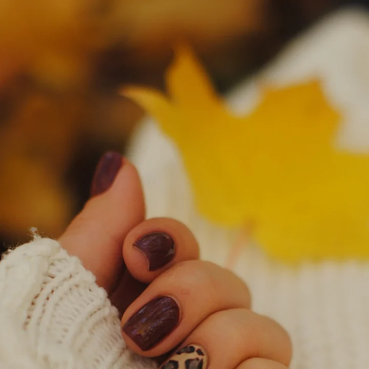 Ongles chocolat avec un accent léopard